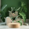 Simulated soft rubber aloe vera artificial flower set, white ceramic potted green plants, succulent plant decorative ornaments, cross-border pet gardening details Picture